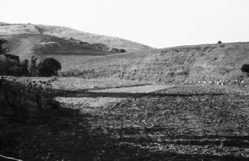 Five views of excavations and pitted rocks