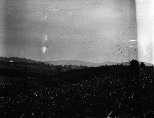 Sutherland site, near Israel Gap