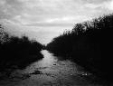 River near village site on Oliver Farm