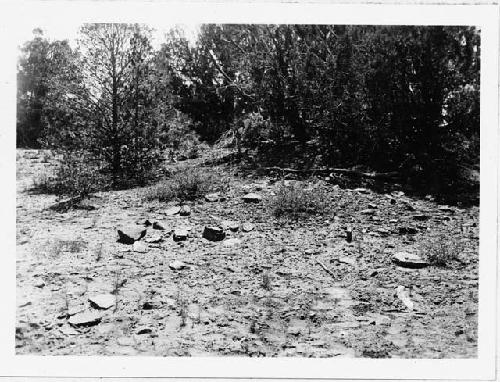 House before excavation; Room A in foreground; Room B beneath trees