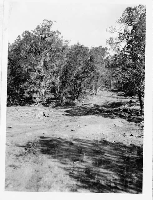 Alkali Road; base of Rocky Hill