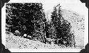 Bowl Creek Saddle- a pass over the Henry's August 14th.