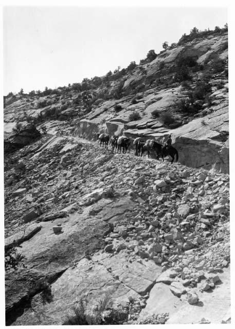 On trail between Boulder and Escalante.