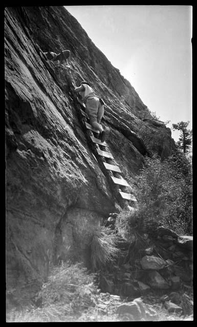 Person climbing ladder