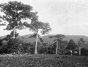 View of clearing, hut, and sacred mountain in distance