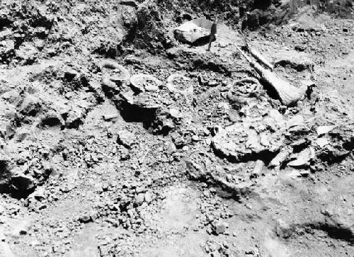 Grave excavation pit showing jar and sherd deposit, pit 7; Grave 1