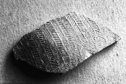 Potsherd - Indo-China: Northern Annam - Thanh-hoa, Tam-tho