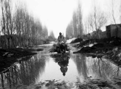 Sleigh, street of melted ice, perfect reflection