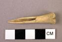 Worked bone fragment