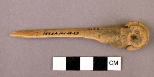 Worked bone fragment