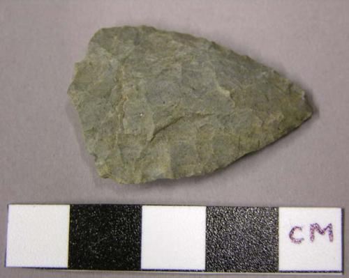 Projectile point