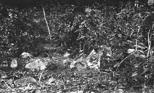 Dance ground on Butterbaugh estate near Utuado