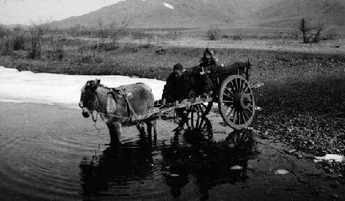 Two men on cart pulled by donkey