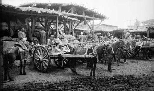 Horse carts backed-up to open covered structure