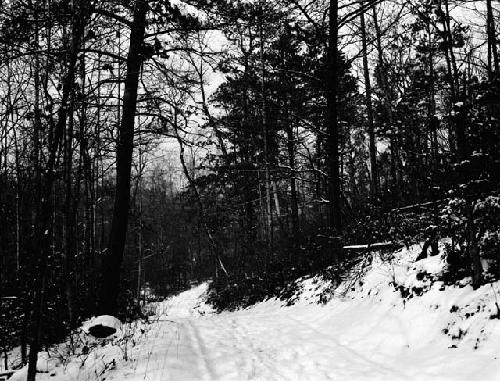 Road leading west from the Old Lynchburg Road