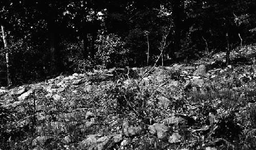 Slope near a pit showing fragments of soapstone