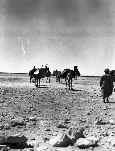 Bedouins at Rafha on Tapline