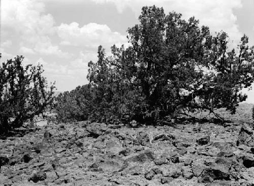 Big Red Hill, rubble area