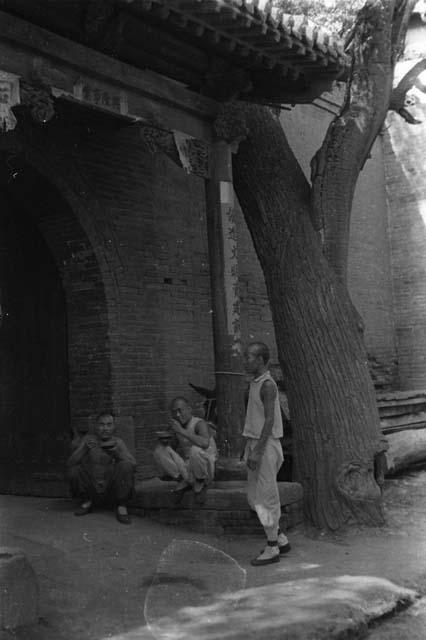 Yutaoho, Shansi, summer 1935, tree and gateway in Fenyang