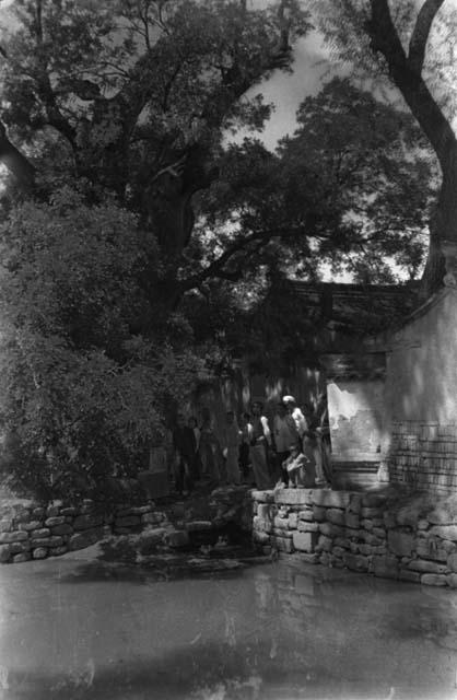 Yutaoho, Shansi, summer 1935, pool and trees