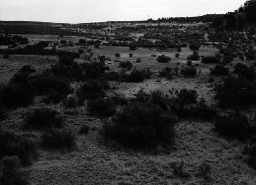 General view looking east from west edge of site