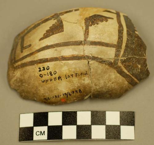 Fragments of polychrome pottery bowl