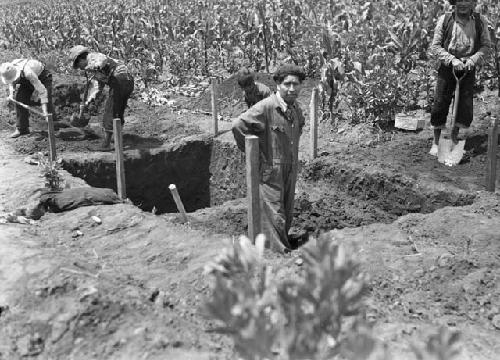 General view of the excavation at the start of section B