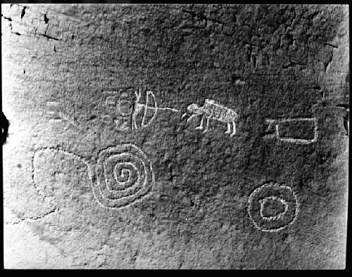 Photo of Man shooting Buffalo. Spiral and maze