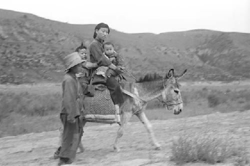 Woman and two small children riding a donkey on road