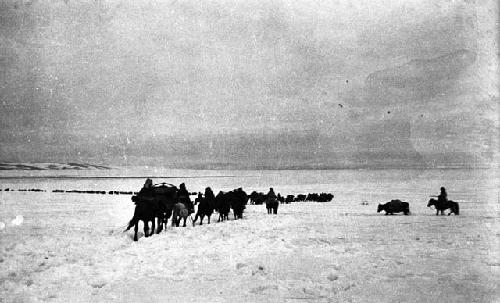 Wagons in snow, very long Kazan (Qazaq) caravan traveling across a snowy field