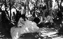 Grape Valley picnic, men reclining and sitting under trellised awning