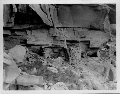 Above mouth of Beef Basin Canyon