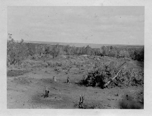 Unit 1 in center, Unit 3 in center background, before excavation of north row.