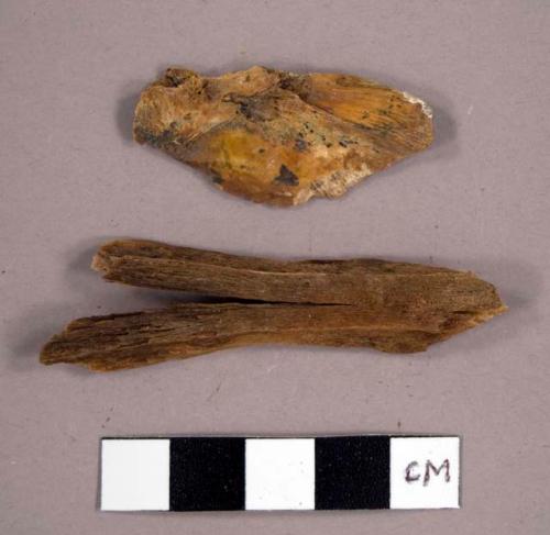 Faunal remains, fragments, bird?