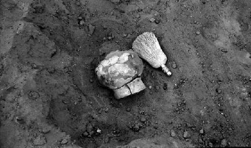 Red Hill site, structure 205, pottery jar in situ