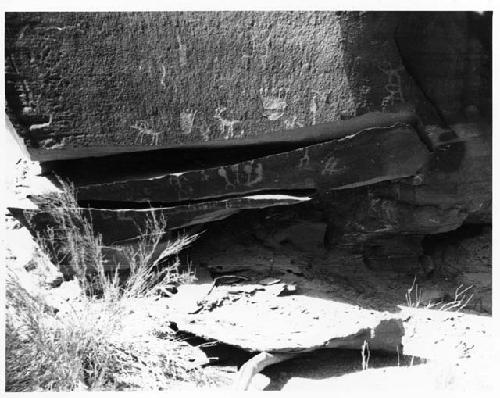 Left Bank, San Juan River. 27 1/2 Miles above Colorado River.