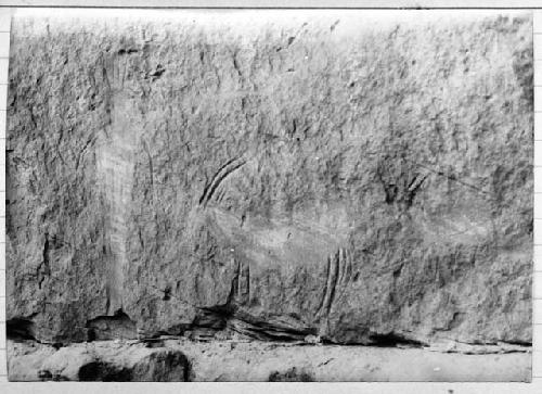 Photo of Rubbed pictos of mountain sheep and human figure