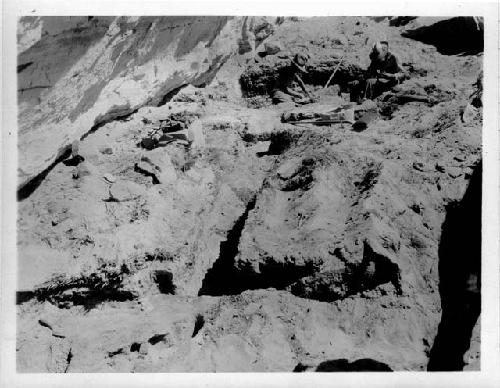 Excavation in Barrier Canyon; view of site from west showing Bowers + Chaffin