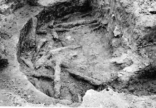 Kiva partially excavated; showing fallen roof logs