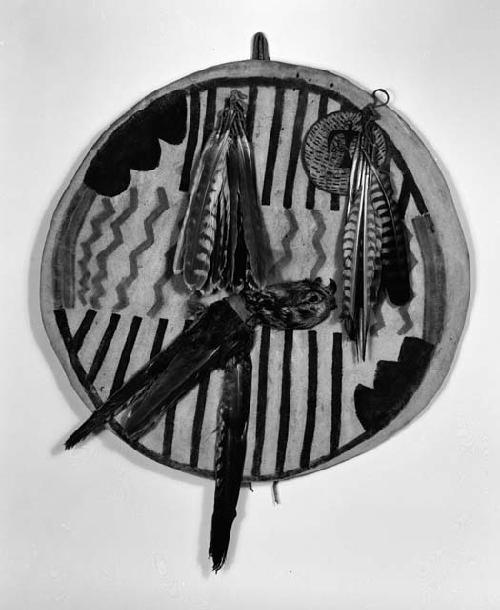 War shield of rawhide and feathers