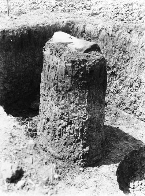 View of stone 11 on pedestal, Excavation 2-31