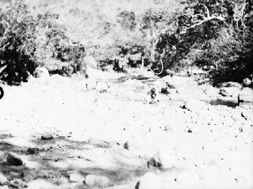 Men fishing in by turning over stones, branch of Tabasara River