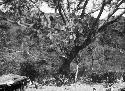 Broad view of hills and valley of Esquipulas