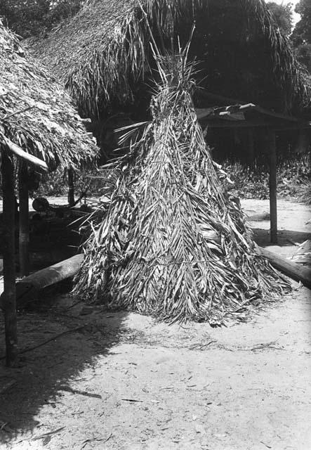 Toakai, or priest, doctor's consulting hut, built of manioc leaves