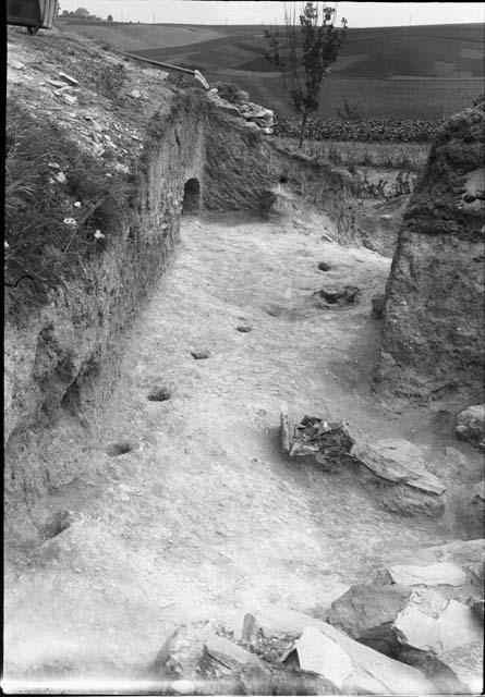 Palisade II and gates - looking north