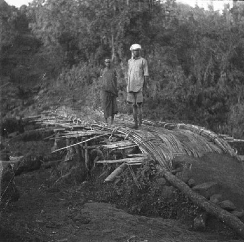 Native bridge on the Sabei to Sipi trail