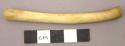 Bone tube - femur of red fox