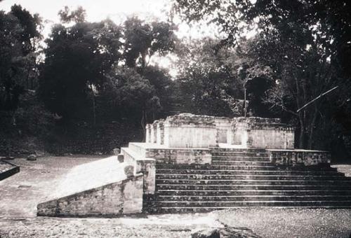 View of ball court