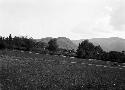 Kale, or fortified outcrop, and part of Plancideva Njiva showing