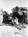 Man in winter coat sitting on the ground, several loaded camels and dog